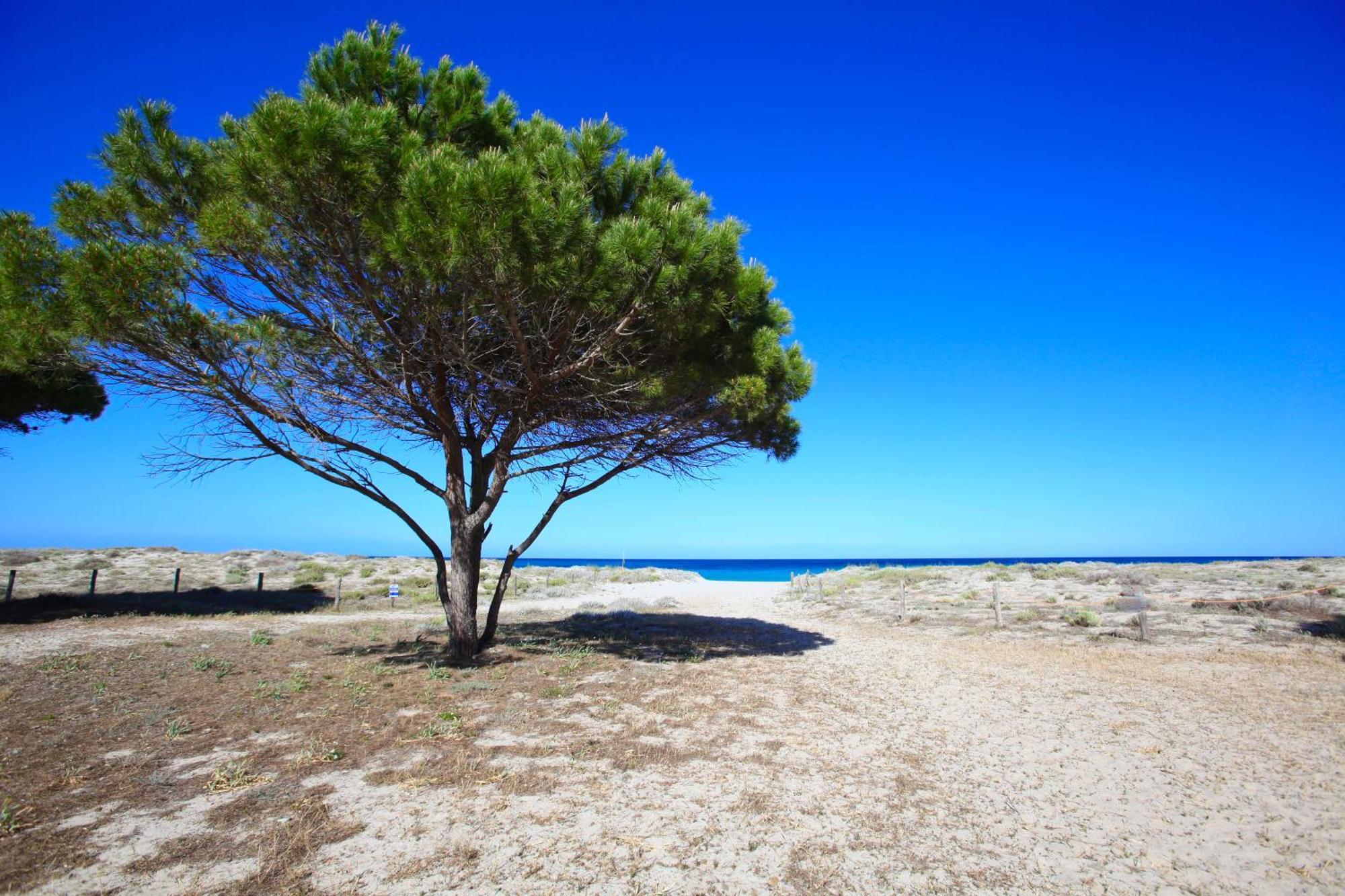 Resort Abbaia Ba Budoni Exteriör bild