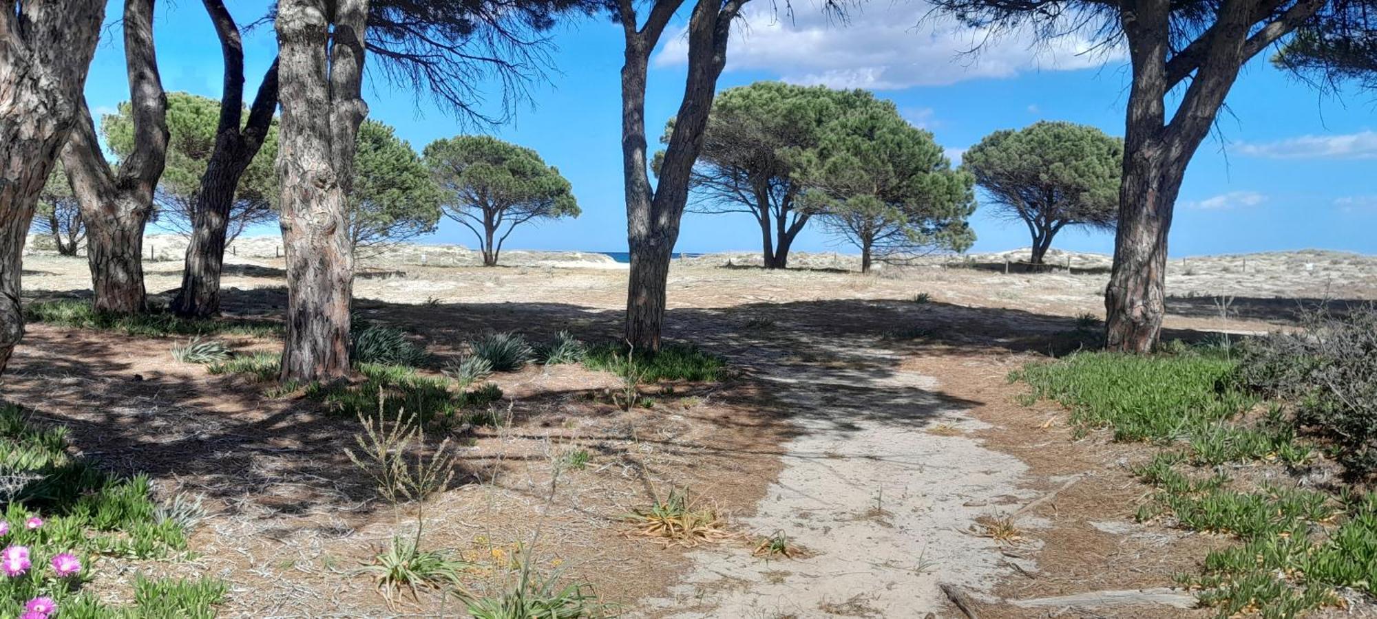 Resort Abbaia Ba Budoni Exteriör bild