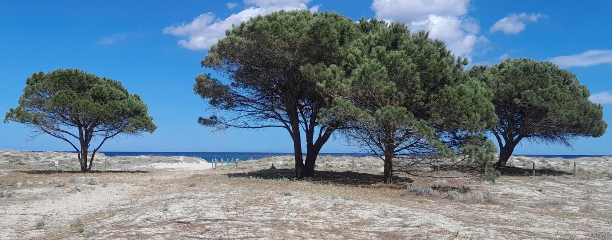 Resort Abbaia Ba Budoni Exteriör bild