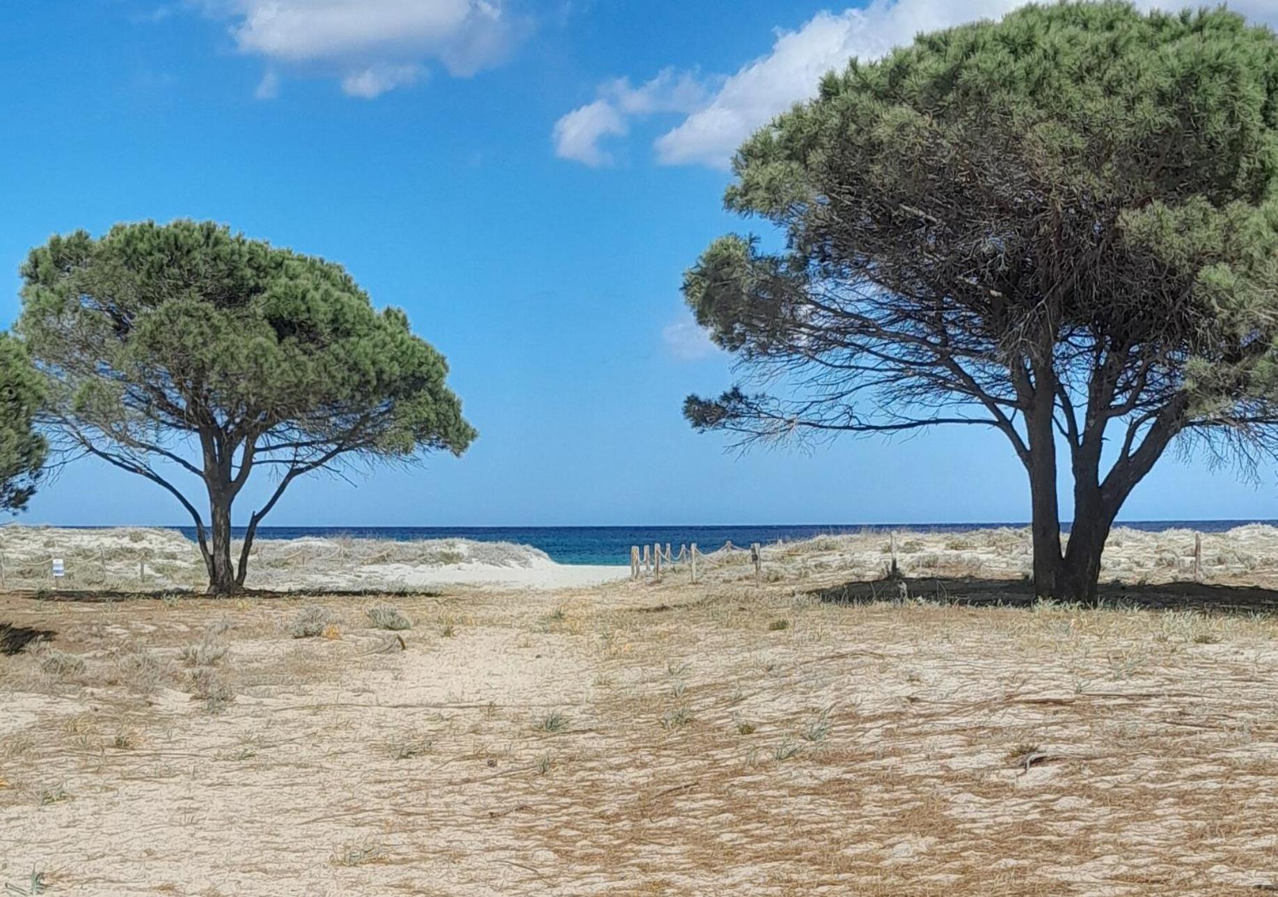 Resort Abbaia Ba Budoni Exteriör bild