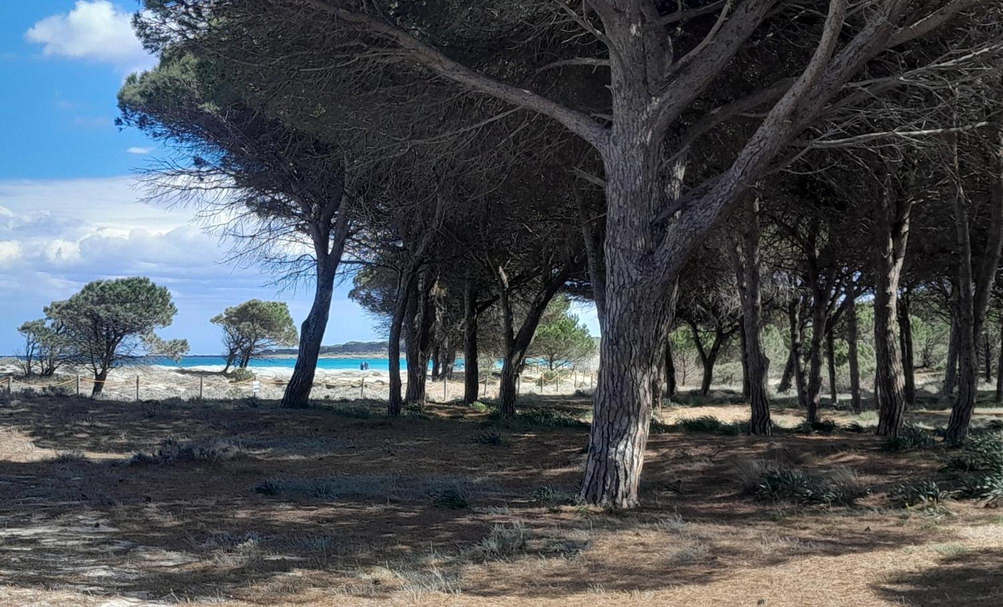 Resort Abbaia Ba Budoni Exteriör bild